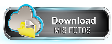 boton de descarga.png
