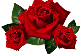 pngwing.com(62).png
