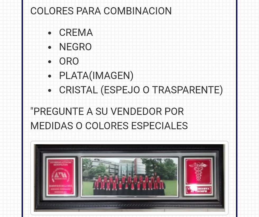 Miniatura: PROFESIONAL 1