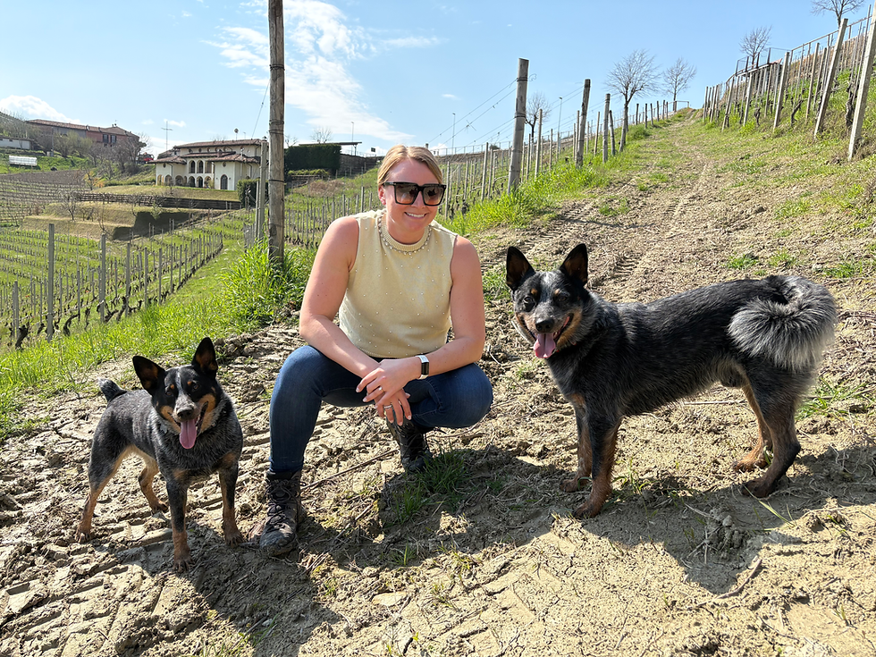 Info Session 2 : Italy Food & Leadership Summit