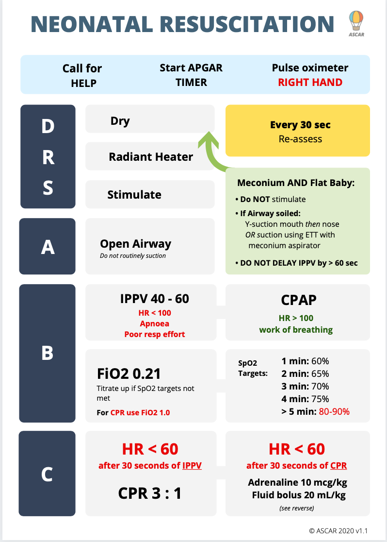 Paediatric Anaesthesia