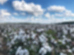 Cotton