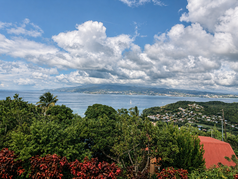 Vue du Manguier Panoramique