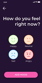 mood entry – 1.png