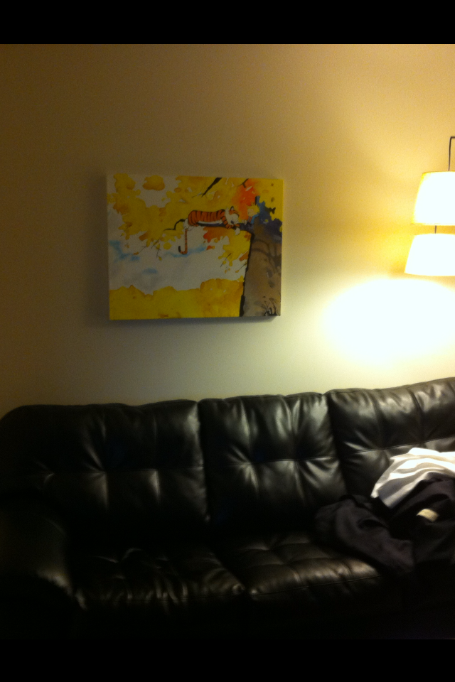 In it's new home!