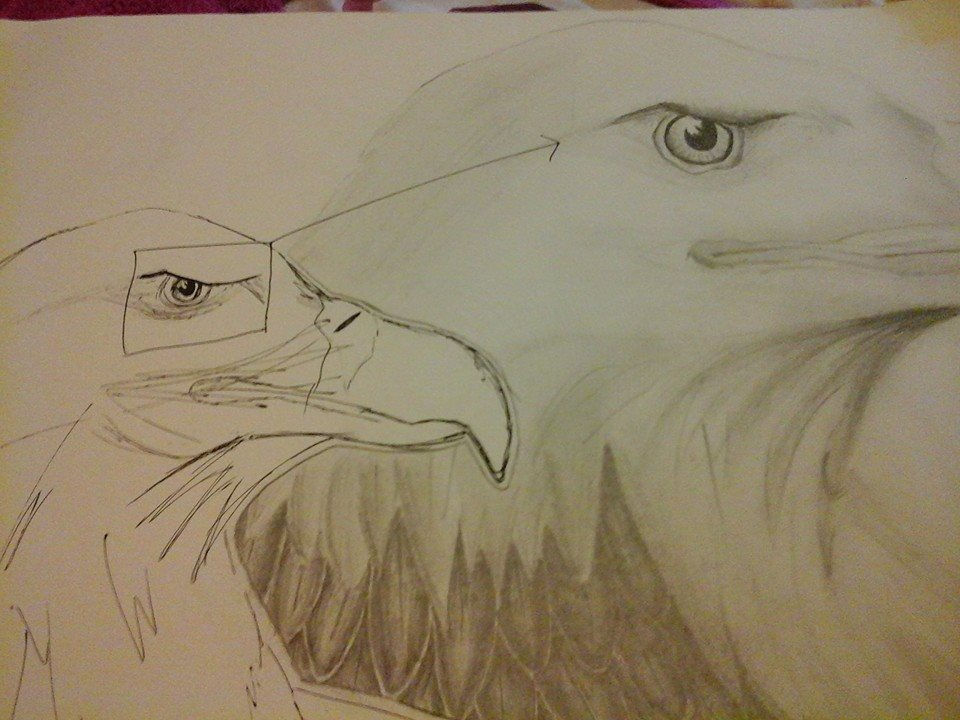 Eagle