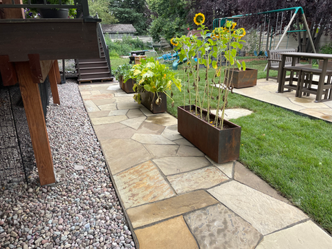 Sunflowers in a custom planer