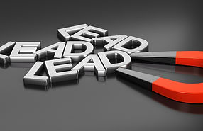 Lead Magnet