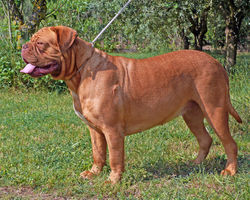 Infery Van De Paterhoek