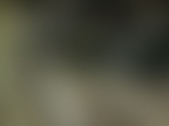 ΔΙΑΦΟΡΕΣ ΑΥΤΟΜΑΤΕΣ ΤΑΙΝΙΕΣ ΜΕΤΑΦΟΡΑΣ