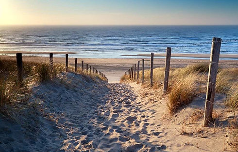 strand-nederland-1-1000x640.jpg