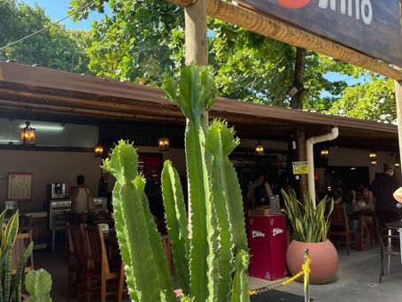 Melhores Locais para comer em Porto Seguro 