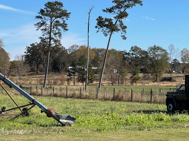 Grain auger and truck in the autumn field
