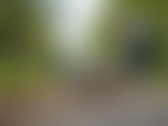 Community Support Ideas: Ways You Can Help Your Community