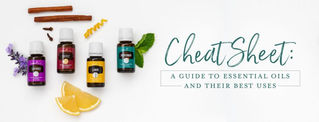 Cheat sheet: A guide to essential oils and their best uses