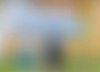 Hurra for Fine Miss Lissi! 