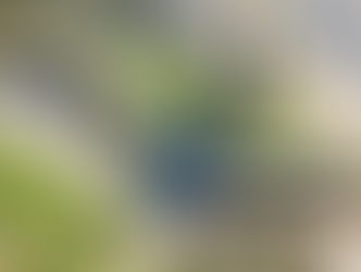 Accessibility in the Wild