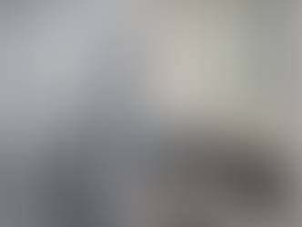 Balancing Restroom Hygiene with Accessibility