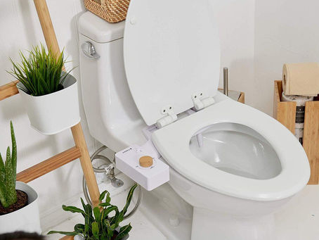 To Bidet or Not to Bidet