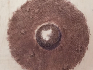 Areola 8 fake.jpg