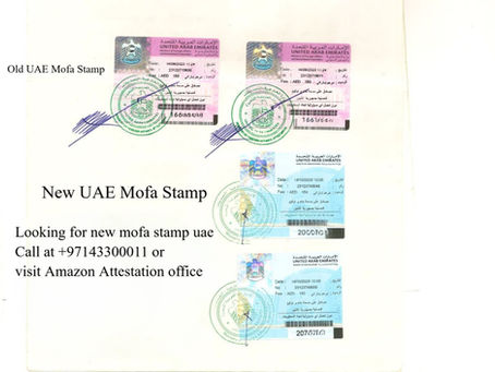 Looking for a New MOFA Stamp in UAE? Same-Day Attestation 