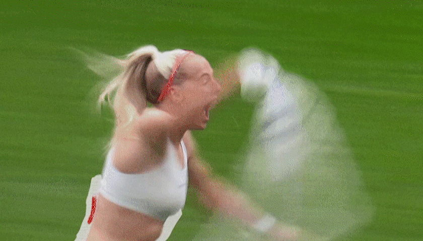 WSL.gif