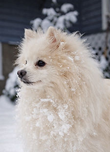 EGG SNOW_edited_edited.jpg