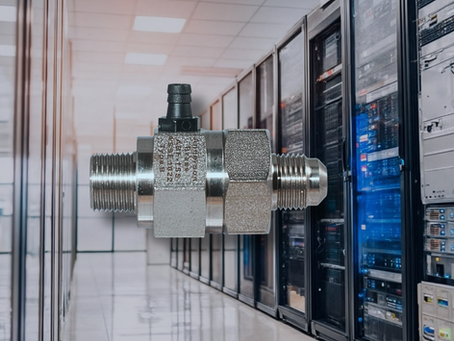 Anderson Brass Backflow Preventer, Stainless Steel