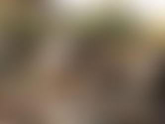 İdeal Köy Fırını Ölçüleri Nedir? 