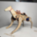 20250217_165800.jpg