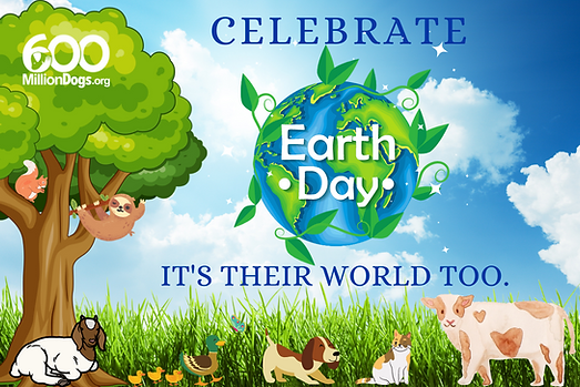 600 Million Dogs Earth Day It's Their World Too
