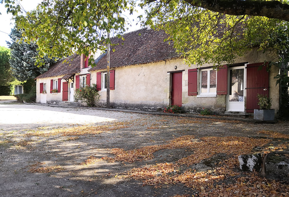 Parc de L'auberdière