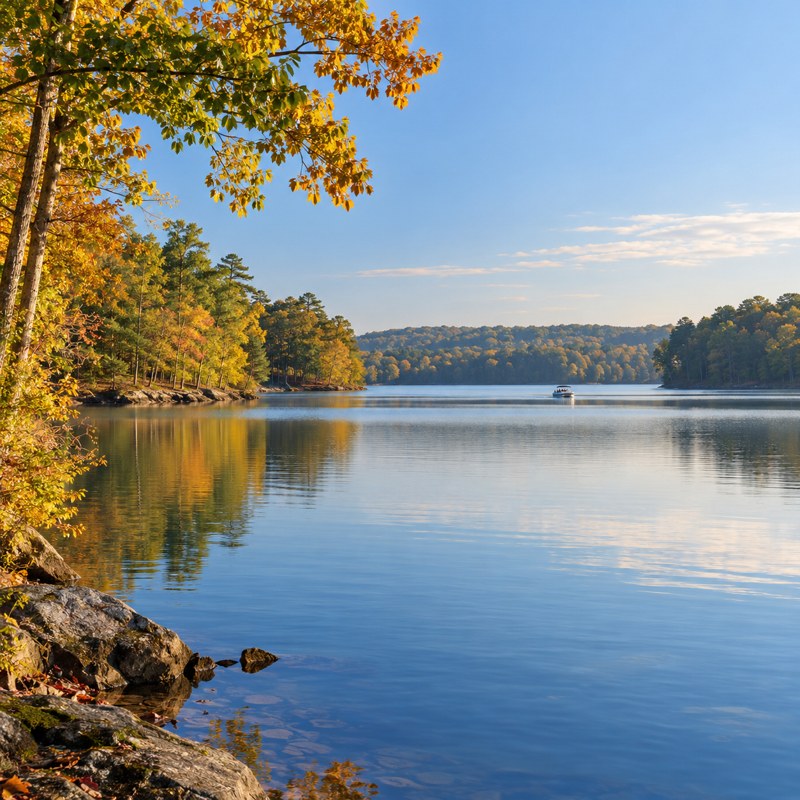 Illustration: A broad calm Piedmont reservoir with wooded shoreline Generic category artwork; not a photograph of this business, venue, its products or facilities.