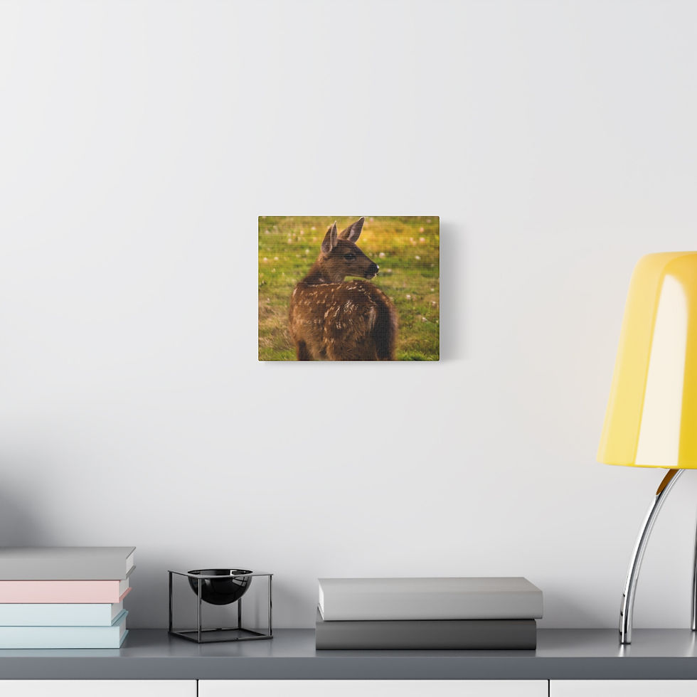 Thumbnail: Matte Canvas, Stretched, 1.25"