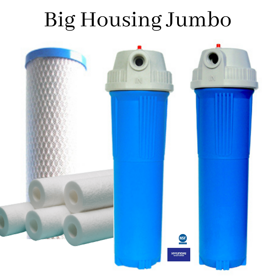 Big Jumbo Purificador Entrada al Hogar