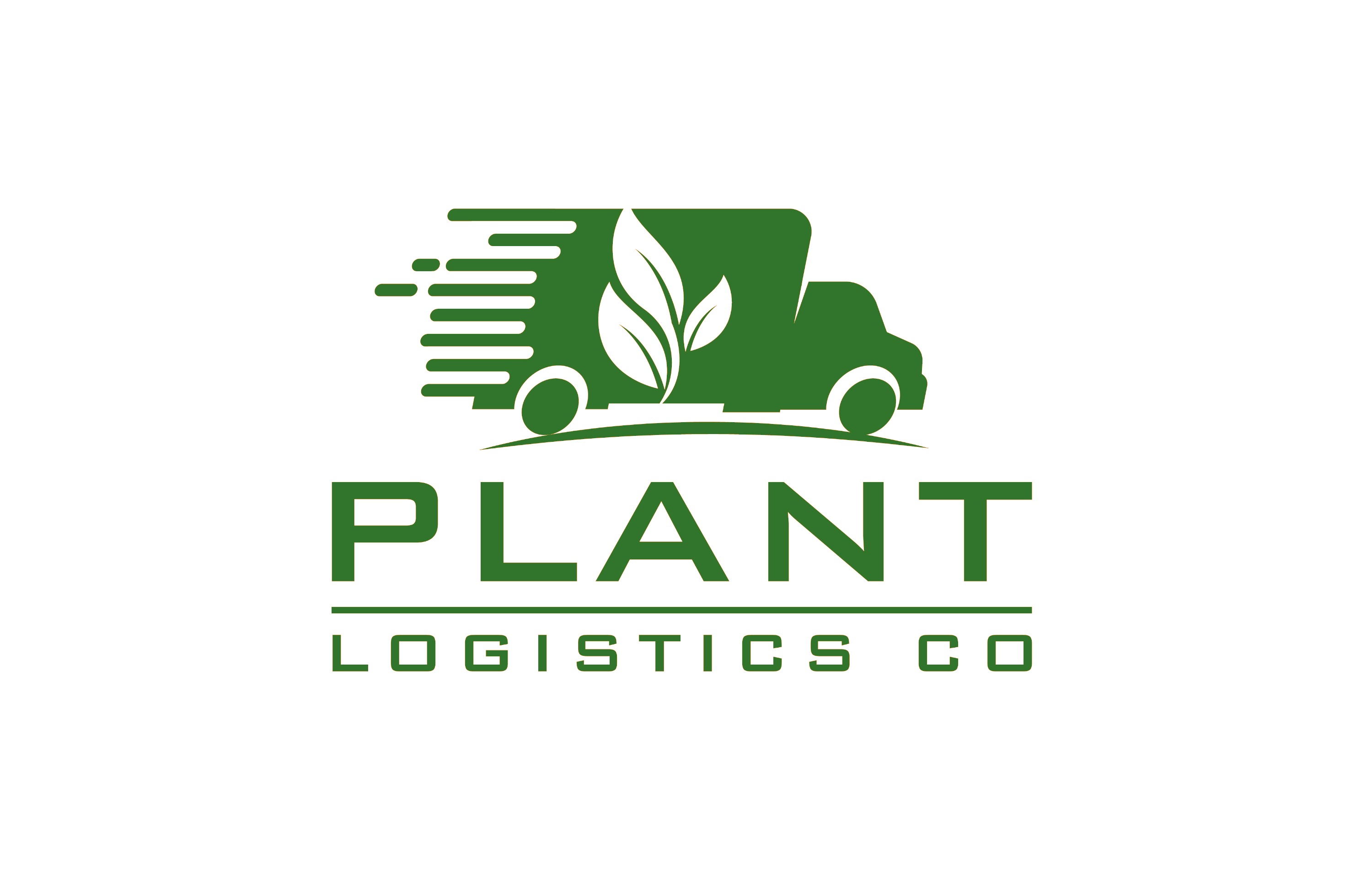 alocasia plants types Alocasia Species ID Chart
