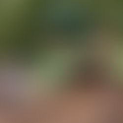 Yorktown Completes $3.4 Million Parks Improvement Initiative