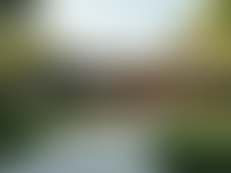 Exploring Premier Listings on Eden Properties Website