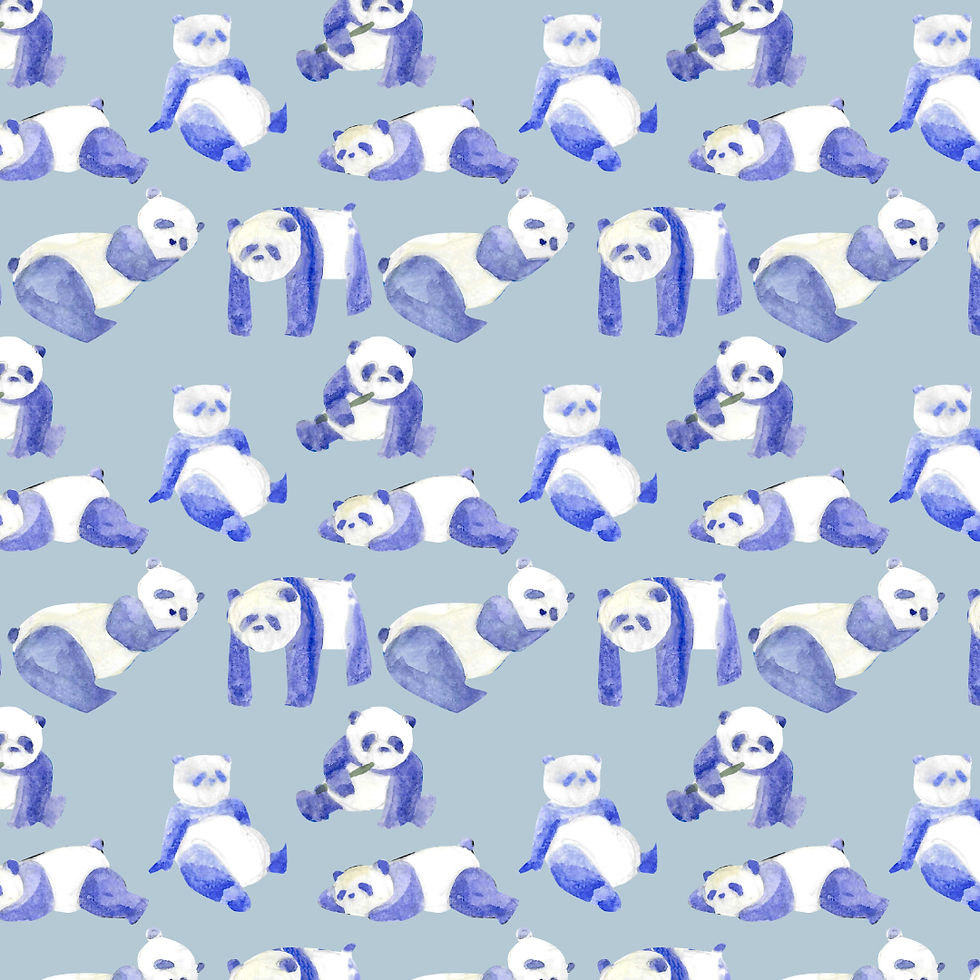 Panda Blue