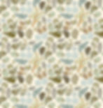 shells pattern_edited
