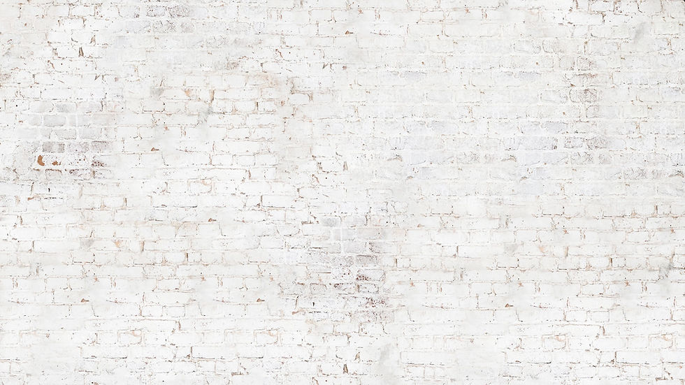 Just the wall - brighter_edited.jpg