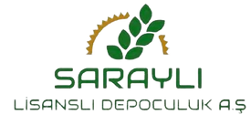 Saray Lidaş