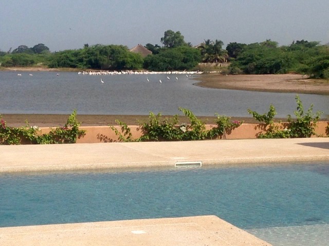 NHVImmo
