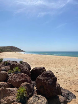 Saly Sénégal agence immobilière