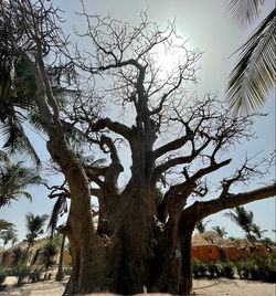 Saly Sénégal agence immobilière