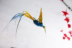 PASSAROS AZUL E AMRELO