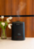 NOVA humidifier next to flower vase