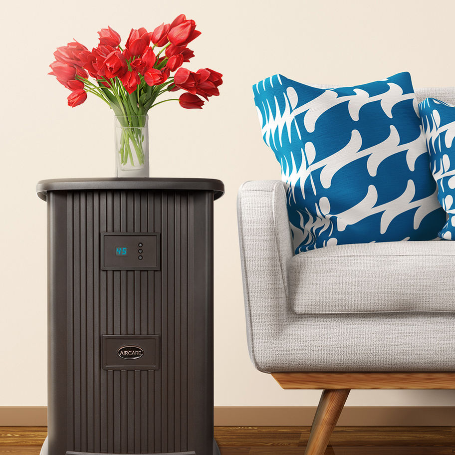 AIRCARE Pedestal lifestyle