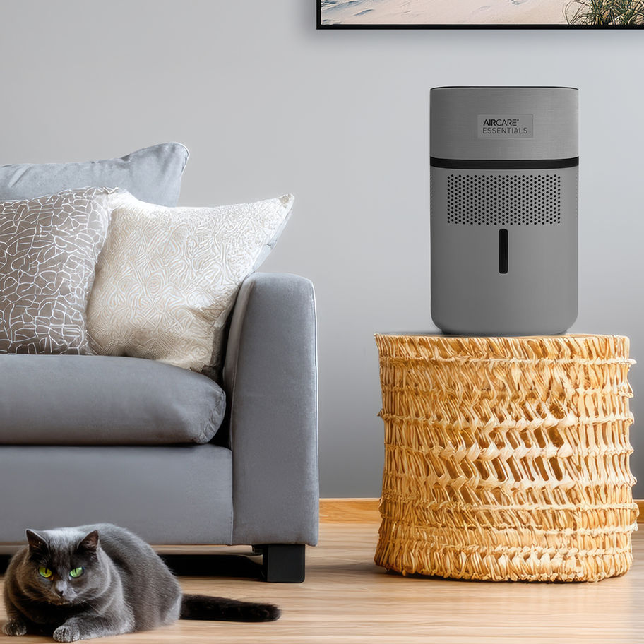 Switch Humidifier Lifestyle Image