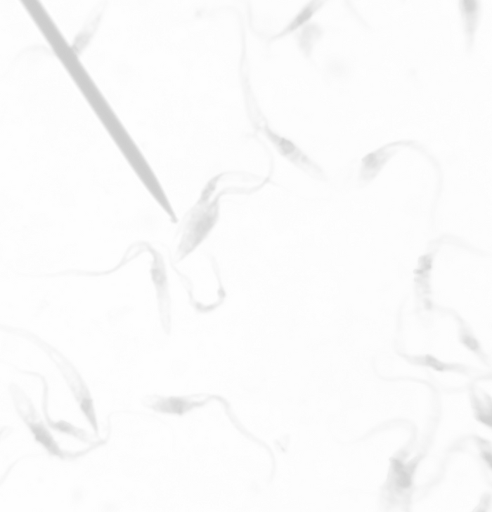 0a9c9b67-4255-421f-b759-c5087f7b8f95_edited_edited.png